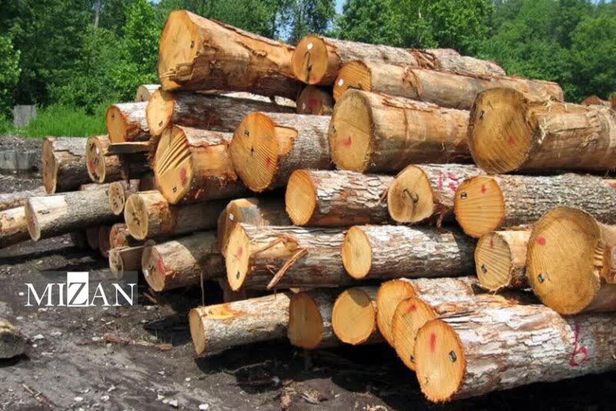 کشف ۱۵ تن چوب قاچاق و پلمب واحد متخلف در آمل