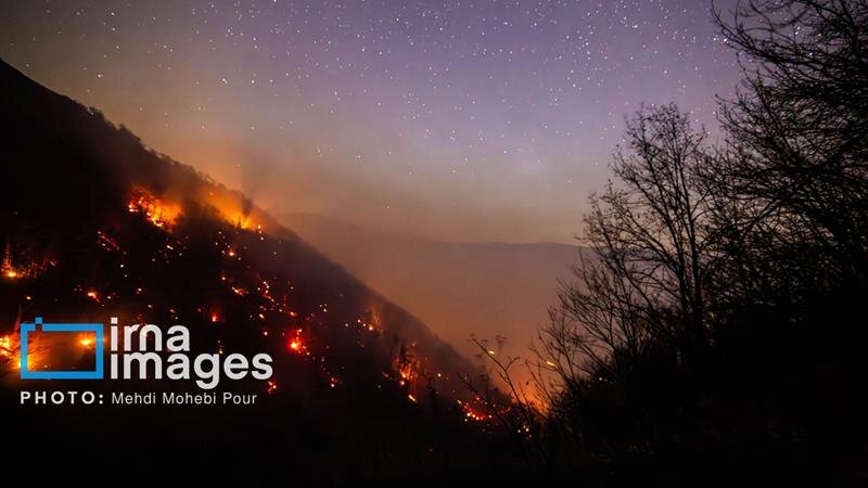یک آتش و سه گزارش/ محیط‌زیست در آتش‌سوزی الیت تمام‌قد پای کار بود