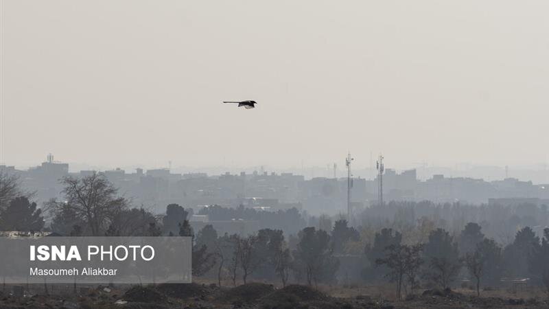 آلودگی هوای کلانشهرها/ عبور موج بارشی ضعیف از کشور