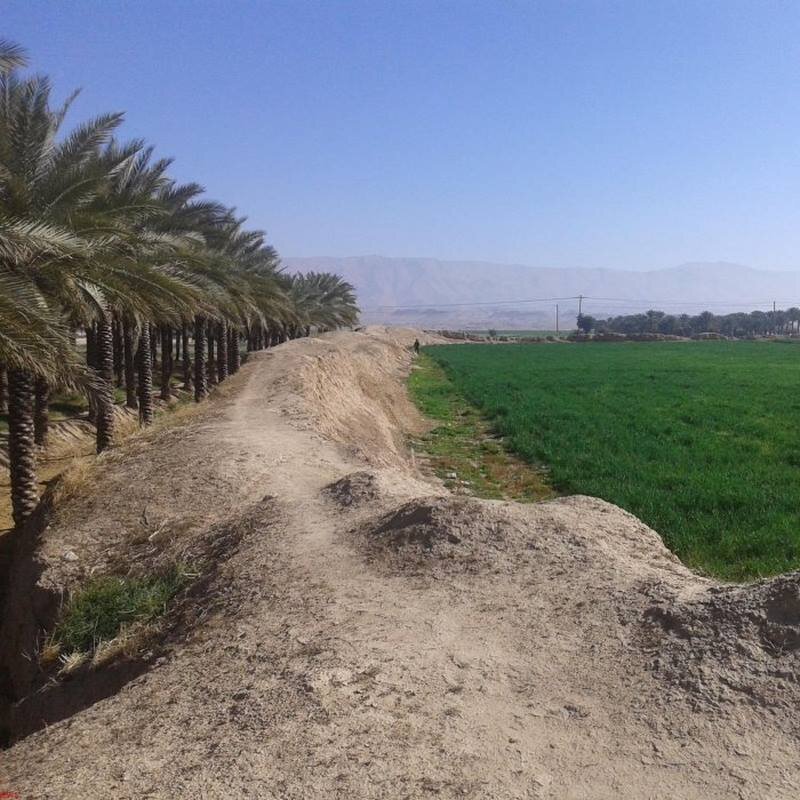 ماجرای کشف کوزه پر از سکه طلا بعد از بارش‌ های اخیر + فیلم