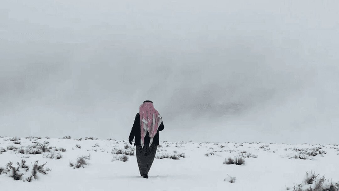 قیافه جالب شترها و برف بازی با دشداشه +فیلم؛ برف نادر در عربستان