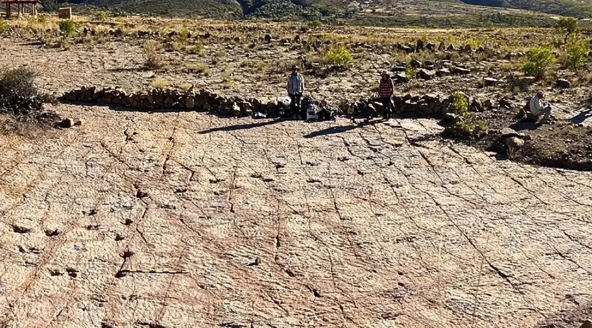 ببینید؛ ۱۶ هزار ردّپا از دایناسورهایی که ۶۶ میلیون سال قبل در اینجا میدویدند!