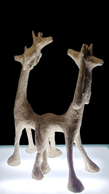 دیگرهیچ عجله‌ای ندارم / دوست دارم فیلمم از ایران به اسکار معرفی شود