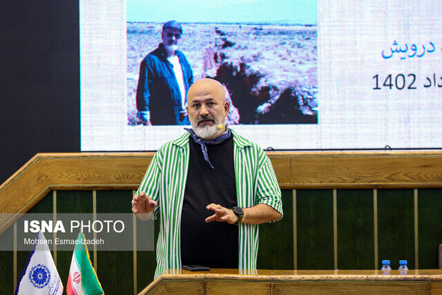 اهمیت چوب‌های خشک جنگلی از ۵۰۰ سال قبل مشخص بود