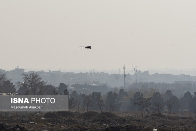 آلودگی هوای کلانشهرها/ عبور موج بارشی ضعیف از کشور