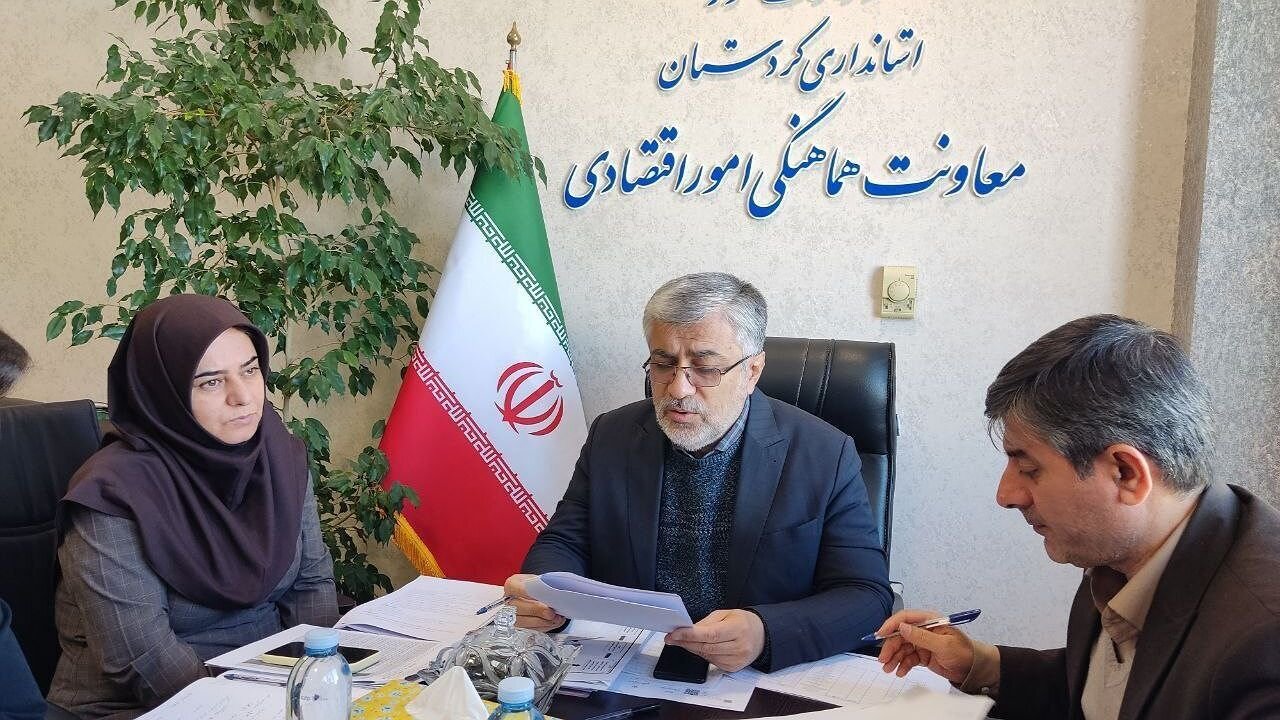 ساماندهی صنوف و مشاغل آلاینده شهری در سنندج ضروری است