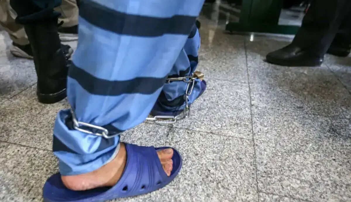 قتل مسلحانه سارقان درخت توسط باغدار عصبانی