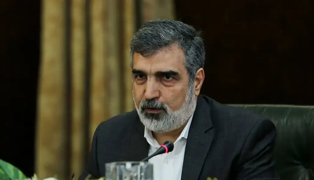 کمالوندی: تمرکز ما بر همکاری هسته‌ای با روسیه است