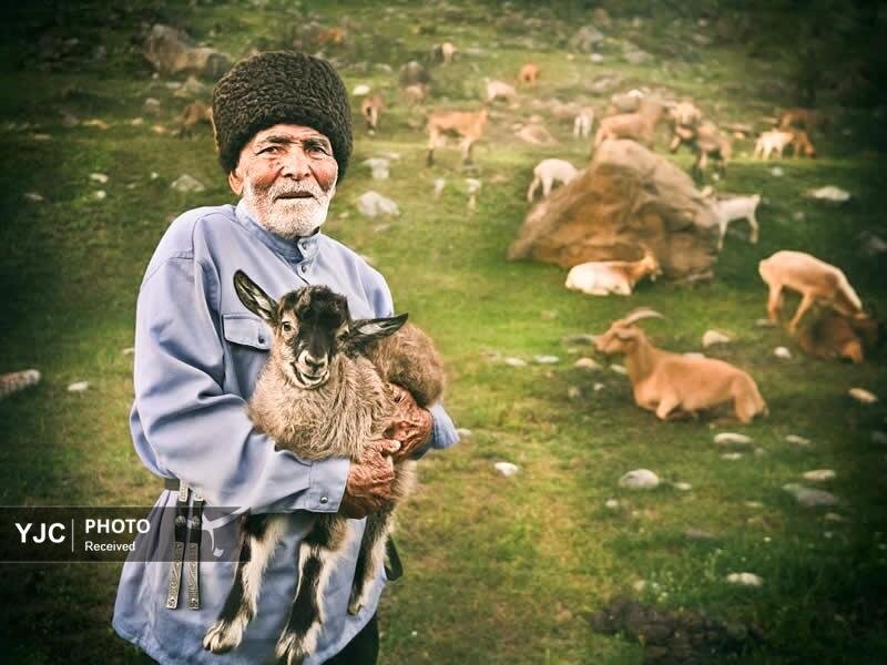 گزیده‌ای از تصاویر زندگی روزمره مردم قفقاز