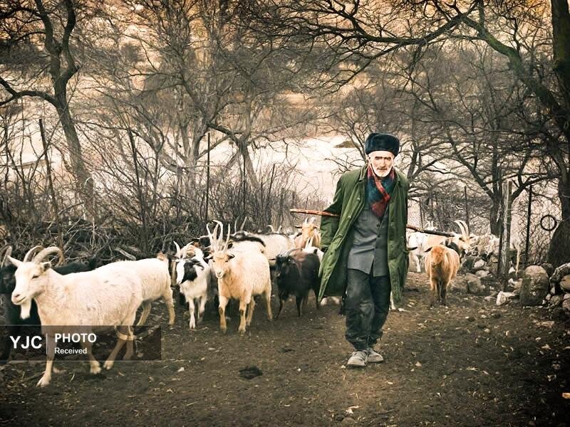 گزیده‌ای از تصاویر زندگی روزمره مردم قفقاز