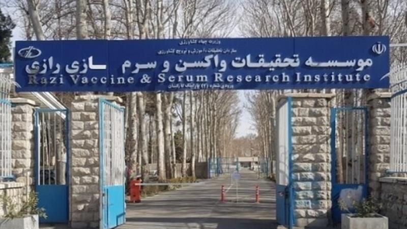 آمادگی کامل مؤسسه رازی برای تأمین واکسن دامی و انتقال دانش فنی به کشورهای اسلامی