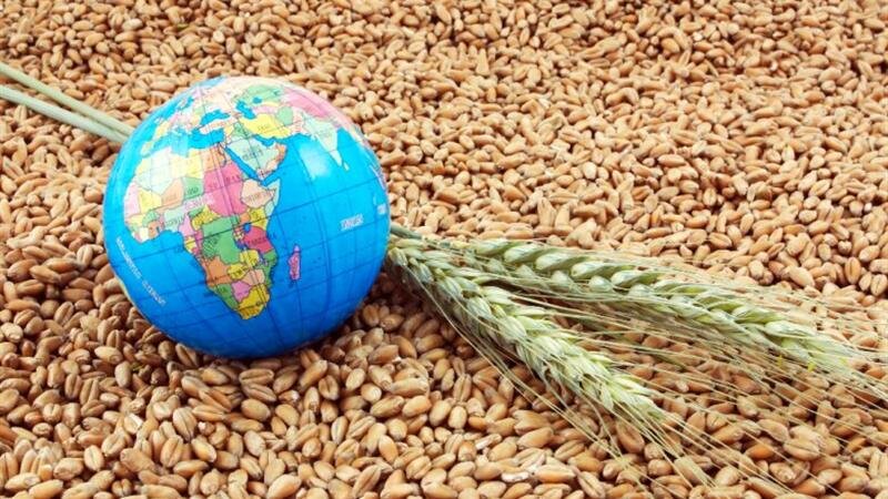 البرز میزبان نشست سازمان امنیت غذایی کشورهای اسلامی