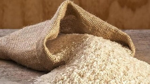 اخبار سیاسی ۲ دی؛ تلاش برای اصلاح «افزایش حقوق ۱۴۰۵»/پیشبینی کاهش قیمت برنج