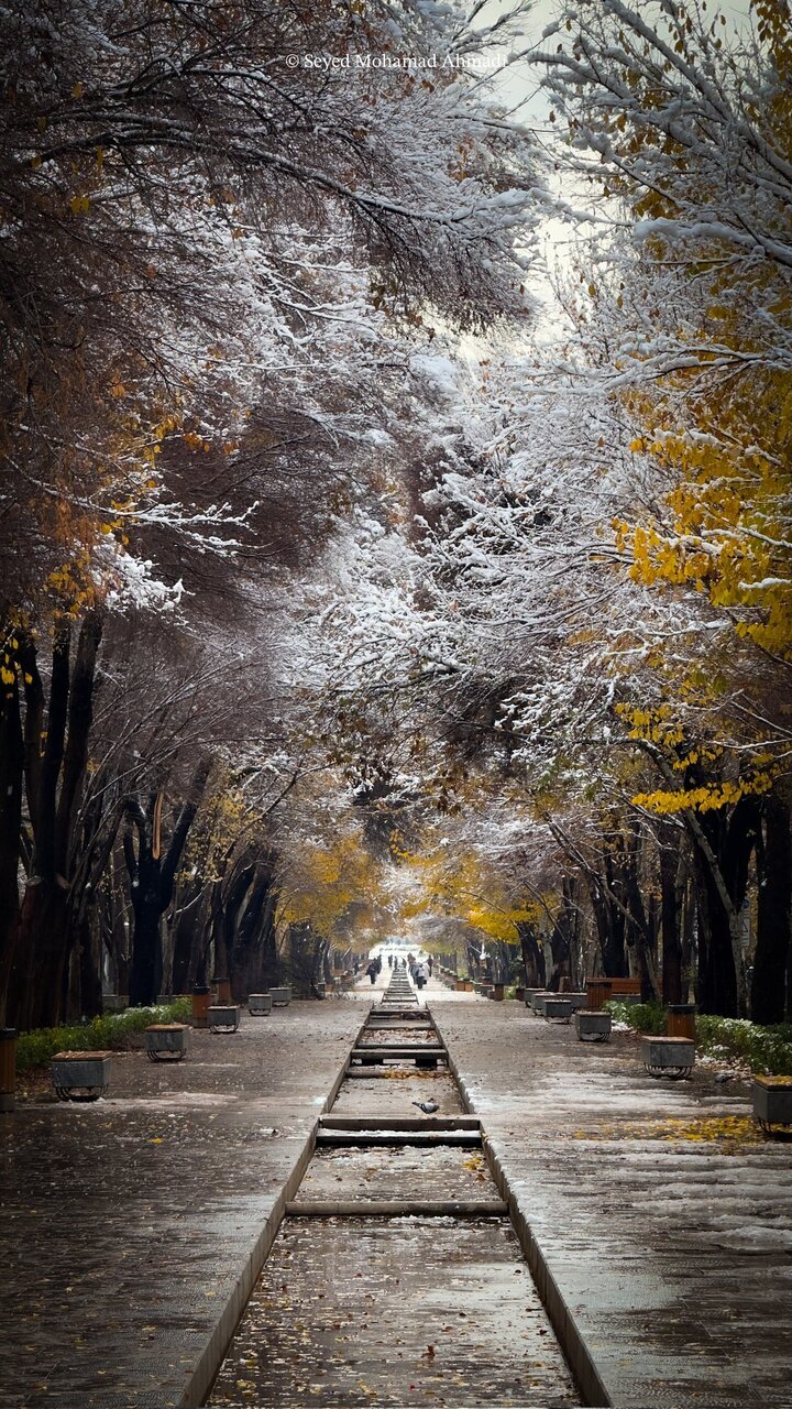 تصویری شگفت انگیز از اولین سپیدپوشی فصل نو