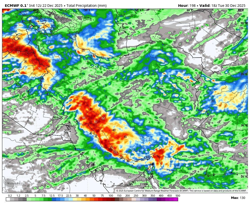 بارش گسترده برف و باران در تمام ۳۱ استان ایران | دی‌ماه پربارش از راه رسید