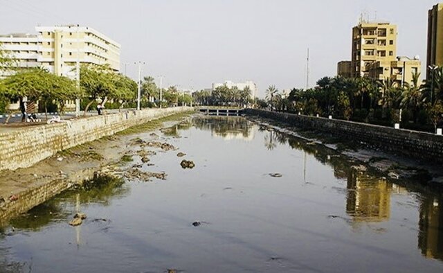 ضرورت کنترل پشه ناقل تب دنگی پس از بارندگیها در هرمزگان