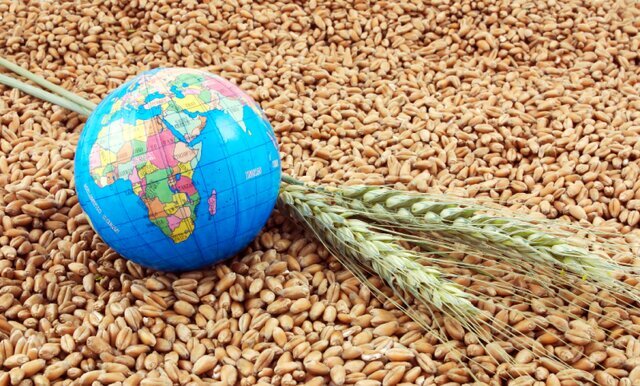 البرز میزبان نشست سازمان امنیت غذایی کشورهای اسلامی