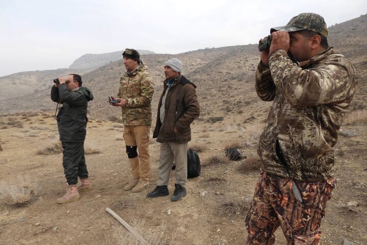 آغاز شمارش حیات وحش دنای شرقی در سرمای زمستان