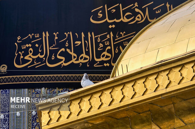ویژهبرنامههای عزاداری شهادت امام هادی (ع) در حرم رضوی اعلام شد