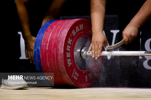 نادری: رقم قرارداد وزنه‌برداران از بقیه رشته‌ها عقب افتاده است