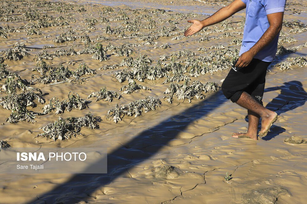 عکس/وضعیت مناطق سیل زده جنوب استان کرمان