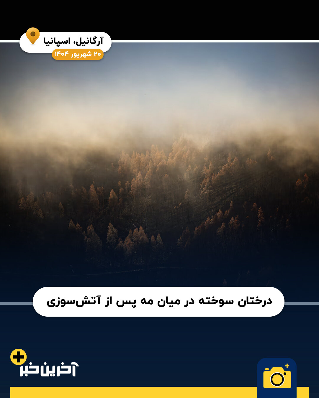 عکس/ برترین تصاویر منظره ۲۰۲۵ از نگاه رویترز
