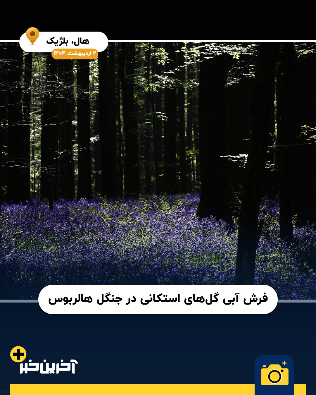 عکس/ برترین تصاویر منظره ۲۰۲۵ از نگاه رویترز