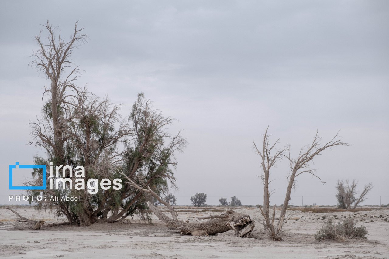 روستایی که بیصدا خاموش شد