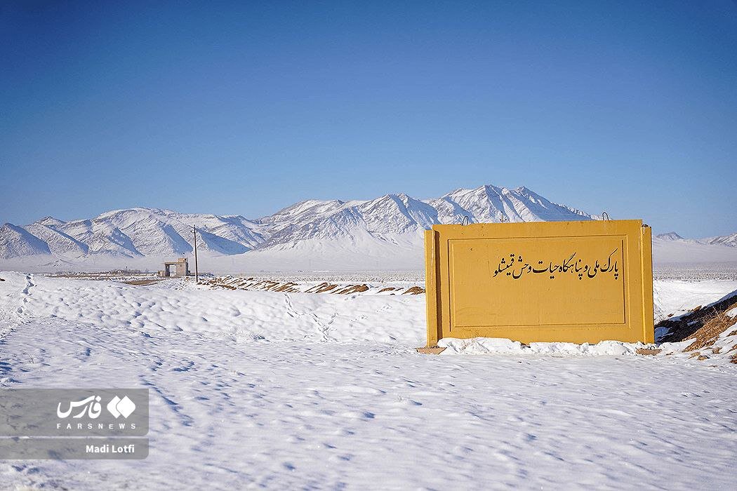 پارک ملی قمیشلو سفید پوش شد