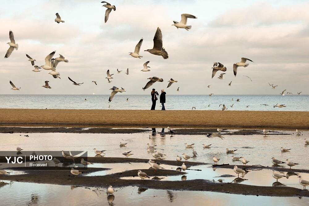 عکس/ منتخبی از عکس‌های خبری جهان