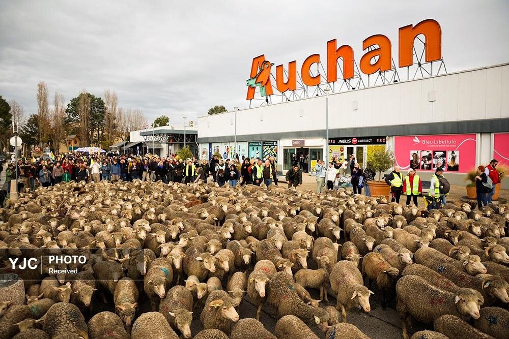 عکس/ منتخبی از عکس‌های خبری جهان