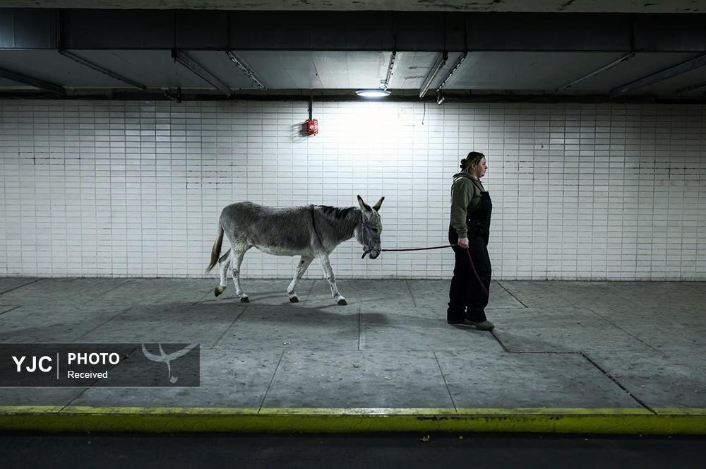 عکس/ منتخبی از عکس‌های خبری جهان