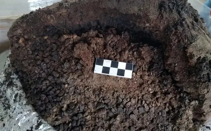 یافتن کوزه‌های «لوبیا» در اتاق مخصوص بردگان در ویلای ۲ هزار ساله | عکس