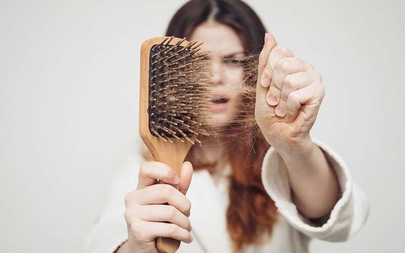 جلوگیری از ریزش مو با این ۷ داروی گیاهی