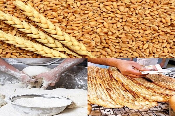 یارانه گندم در بودجه سال آینده ۲۹ همت (ریال جدید) شد