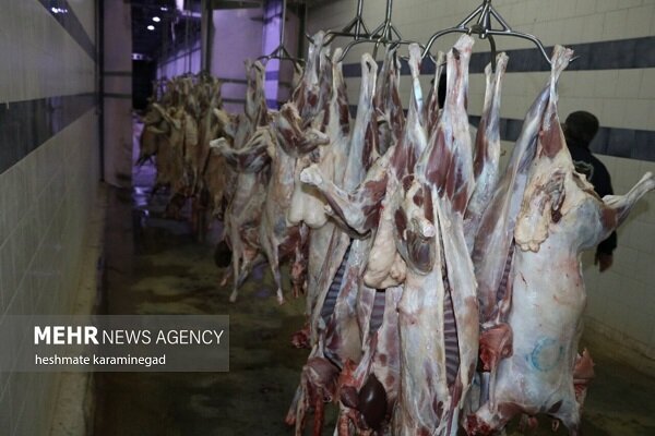 هشدار نسبت به بازار گوشت قرمز سال آینده