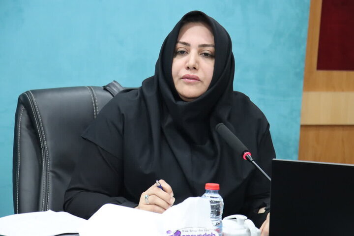 اسکندری: مناسبسازی ۶۶ دستگاه اجرایی استان بوشهر ارزیابی شد