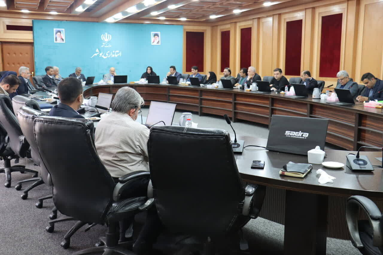 اسکندری: مناسبسازی ۶۶ دستگاه اجرایی استان بوشهر ارزیابی شد