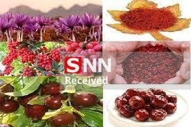 صادرات ۱۷ میلیون دلاری ۲۱ تعاونی صادراتی خراسان جنوبی