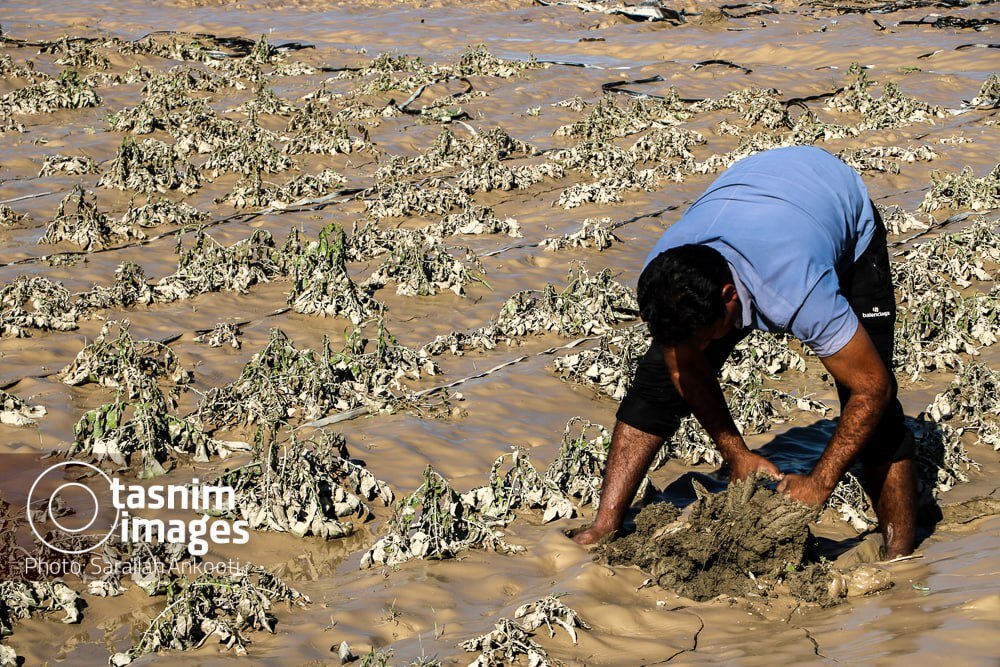 عکس/ خسارت سیل به روستاهای فاریاب - کرمان