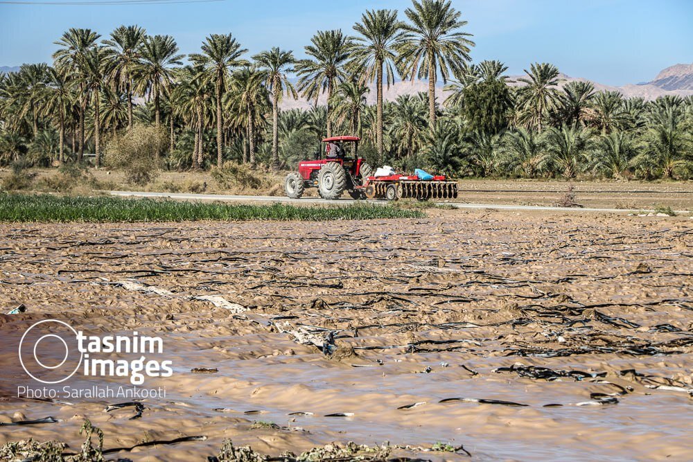 عکس/ خسارت سیل به روستاهای فاریاب - کرمان
