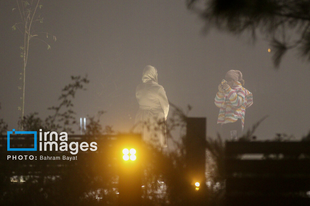 عکس/ زنجان در مه