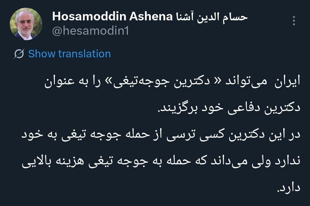 ایران برای دفاع باید «دکترین جوجه تیغی» را انتخاب کند + عکس