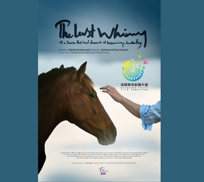 «آخرین شیهه...» به جشنواره چین راه یافت/اکران «خاکِ سَر به مُهر»