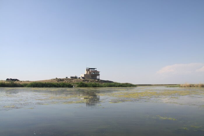 ۳۰۰ هکتار از تالاب کانی برازان احیا شد