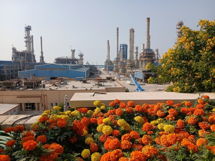 رشد ۴۸ درصدی درآمدهای پتروشیمی نوری در ۶ ماهه امسال/ برنامه‌ریزی برای جذب نخبگان