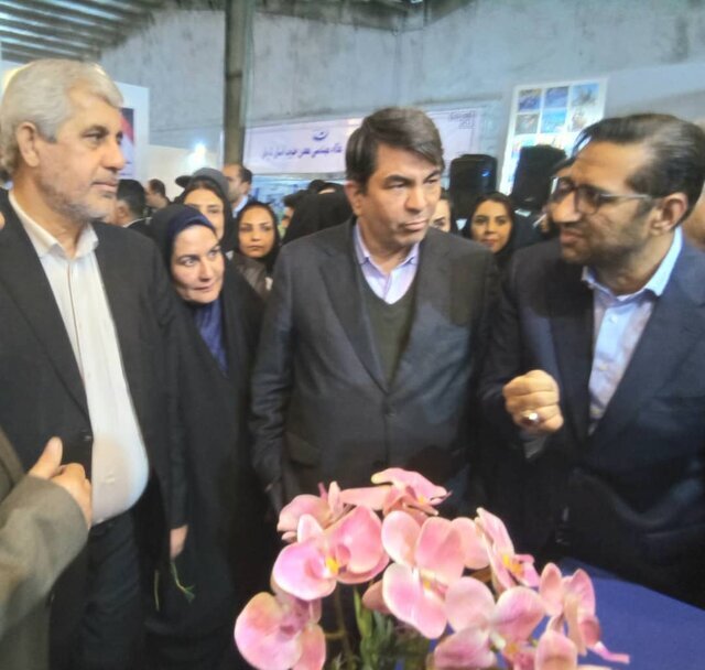 پتانسیلهای جنوب کرمان نباید مغفول بماند/ ظرفیتهای بینظیر معدنی در منطقه