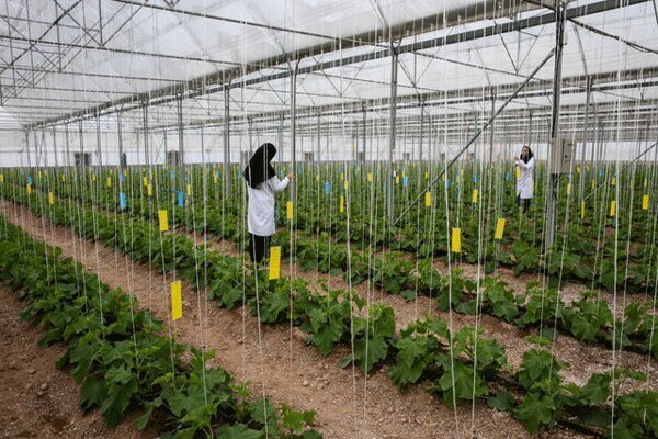 آمادگی مجلس از پروژههای مرتبط با توسعه کشاورزی در سیستان و بلوچستان