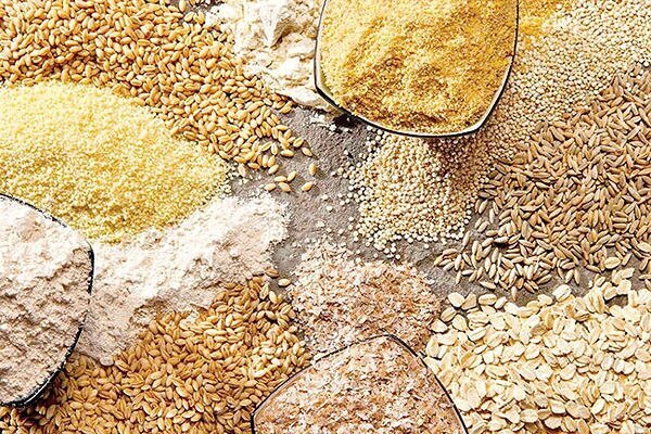 نهاده شریان حیاتی دامداری ایلام؛ تولید تنها با حمایت مستمر زنده است