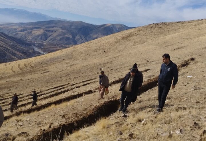آغاز عملیات بانکتبندی و اصلاح اراضی در روستای مروارید کامیاران